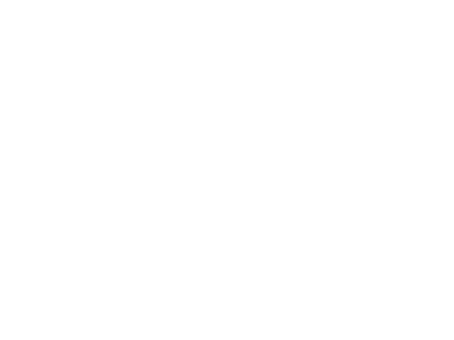 F1_2019_aut_outline